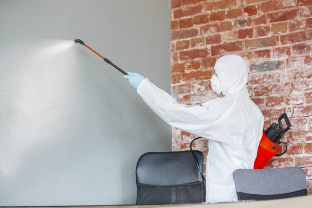 Best Mold Removal for HVAC Installations  in Roanoke, IN