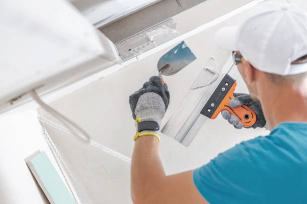 Best HVAC Mold Inspection and Cleaning  in Roanoke, IN